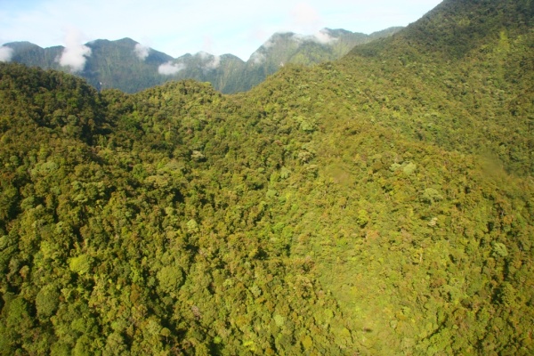 Mount Bosami, Papa New Guinea